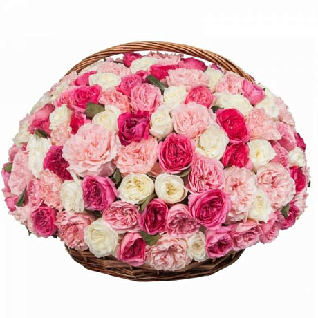 Букет из 151 пионовидной розы в корзине - Фото 1