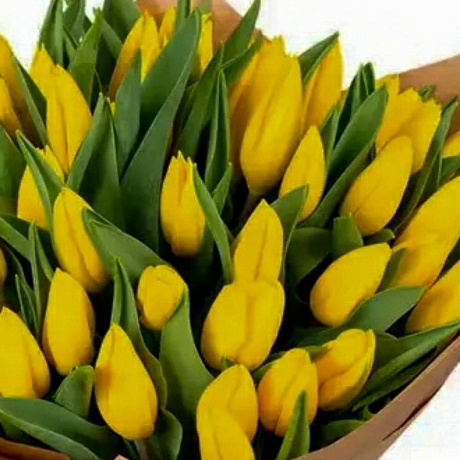Букет из тюльпанов №172 - Фото 1