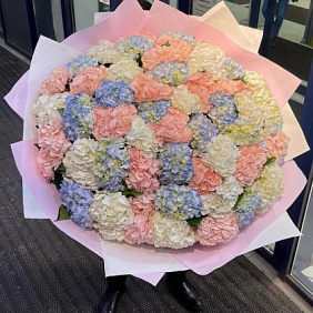 Букет из разноцветных гортензий 51 шт