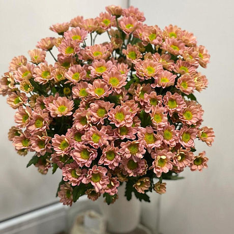 Букет цветов №257 - Фото 1