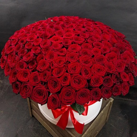 Букет цветов "Edna 201"