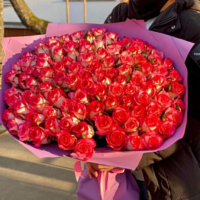 101 роза Джумелия 70 см в премиум упаковке