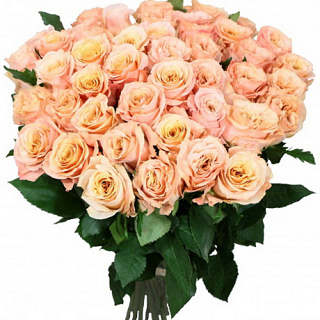 Букет из 51 розы Каппучино - Фото 1