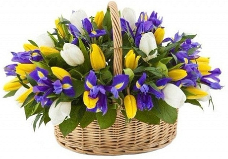 Тюльпаны и ирисы в корзине - Фото 1