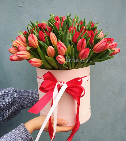 59 красных тюльпанов в большой розовой шляпной коробке №508 - Фото 1
