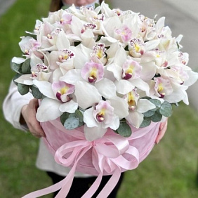 Орхидея в коробке №168