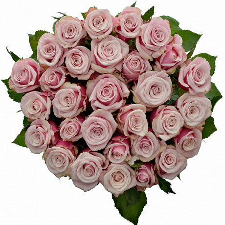 Букет из 51 розы Пятое Авеню - Фото 1