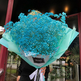 Гипсофила голубая №161