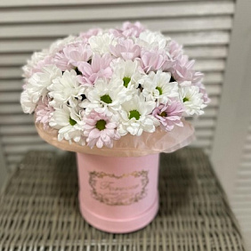 Цветы в коробке Хризантемы