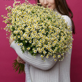 Букет цветов "51 ромашка" №162