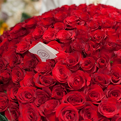 51 Красная роза в большой черной шляпной коробке №212 - Фото 1