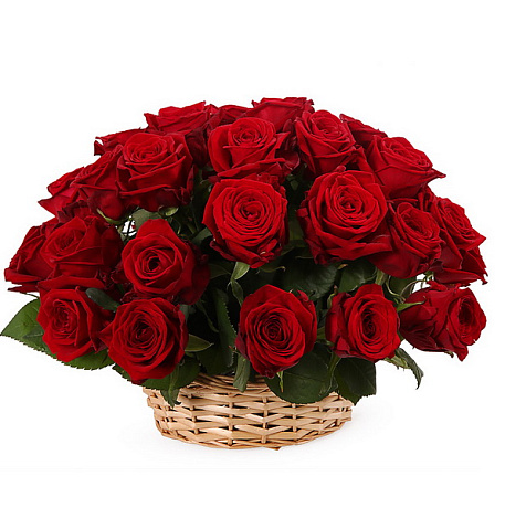 Букет из 25 красных роз в корзине - Фото 1