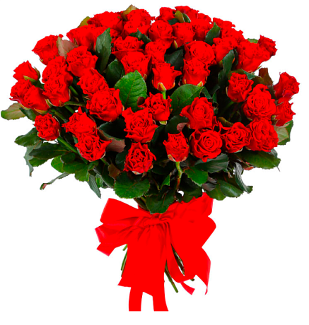 Букет из 41 розы Эль Торро - Фото 1