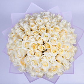 101 белая элитная роза Эквадор