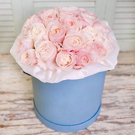 19 персиковых роз премиум в розовой коробке - Фото 1