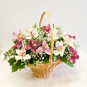 Корзина из орхидей Неотразимая орхидея