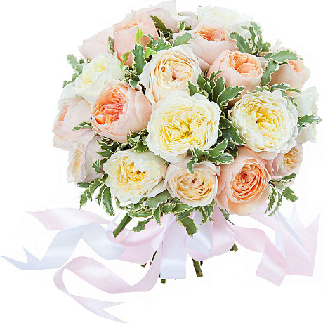 Букет из 19 пионовидных  роз №162 - Фото 1