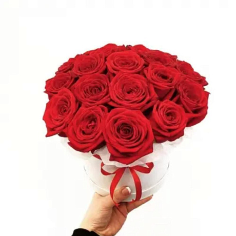 19 КРАСНЫХ РОЗ В БЕЛОЙ ШЛЯПНОЙ КОРОБКЕ - Фото 1