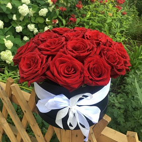 Шикарная премиум коробка с голландскими розами