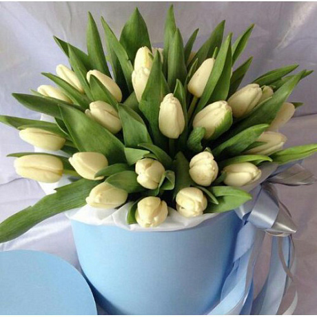 25 белых тюльпанов в голубой маленькой шляпной коробке №522 - Фото 1