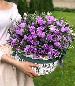 Корзина из лизиантуса "VIP лизиантус 2"