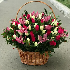 Корзина орхидея