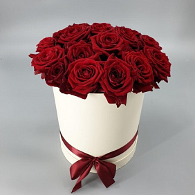 19 красных роз в шляпной коробке
