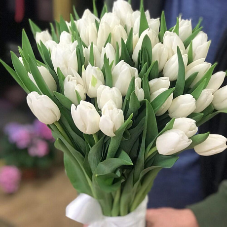 50 белоснежных Тюльпанов №2 - Фото 1