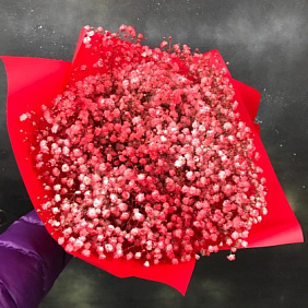 Моно букет из красной гипсофилы