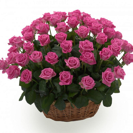 Корзина с цветами из 71 розы - Фото 1