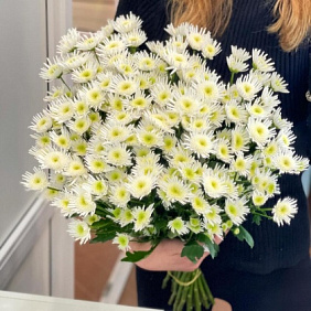 Букет цветов №498