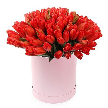 Букет 75 красных тюльпанов в большой шляпной коробке
