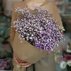 Сиреневая гипсофила №160