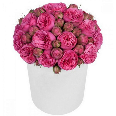 Букет из 23 пионовидных роз в средней шляпной коробке - Фото 1