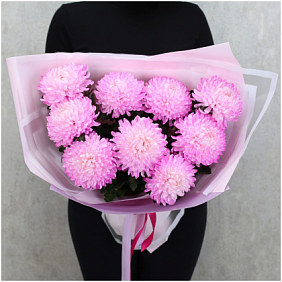 Хризантема Ребонет