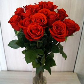 Эквадорская роза 15 шт №165