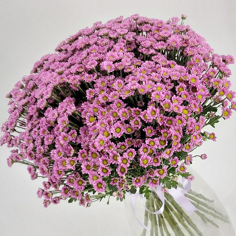 Охапка фиолетовых ромашек - Фото 1