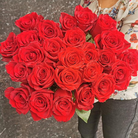 Букет из 25 красных голландских роз Эксплорер - Фото 1