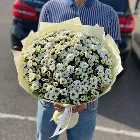 Сантини №160 - Фото 1