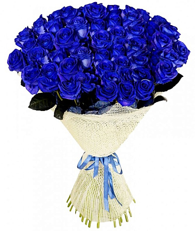Букет из 41 синей розы - Фото 1