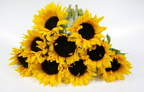 Букет "Подсолнухи" №161