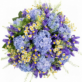Букет из гортензий, ирисов и ромашки