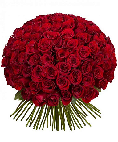 101 красная роза Ред Наоми 40 см №160 - Фото 1