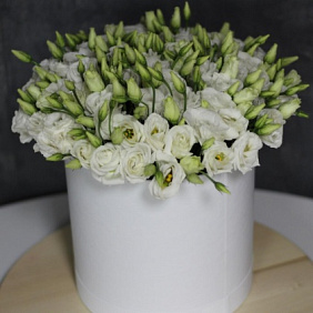 Эустома в коробке №164