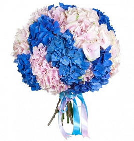 Букет из 15 гортензий