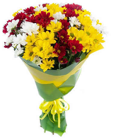 Букет из 15 разноцветных кустовых хризантем - Фото 1