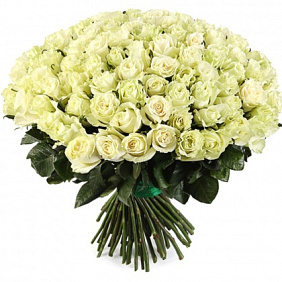 101 белая роза премиум №160