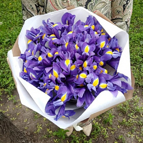 Букет из 31 синего ириса