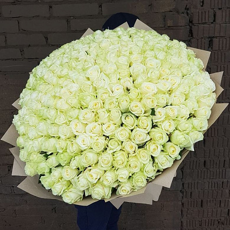 Букет из 301 белой розы 60 см - Фото 1