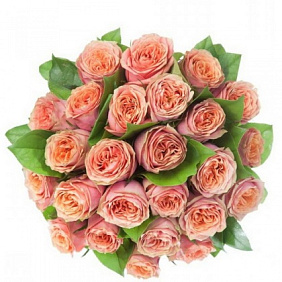 Букет из 25 пионовидных роз Вайлд Лук с зеленью